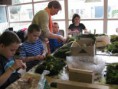 /album/kinderworkshop-voorjaar-2014/kinderworkshop-voorjaar-2014-jpg/